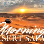 Morningdesertsafari