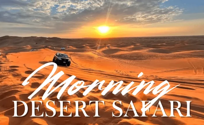 Morningdesertsafari