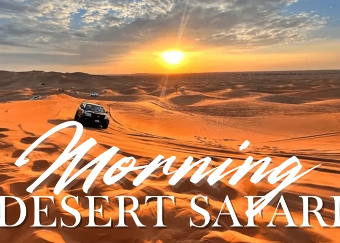 Morningdesertsafari