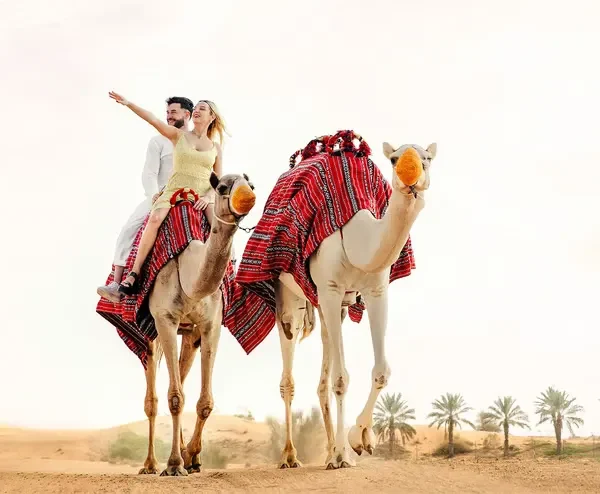 Overnightdesertsafaricamelride