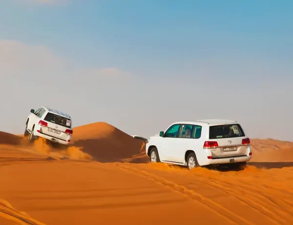 Overnightdesertsafaridunebashing