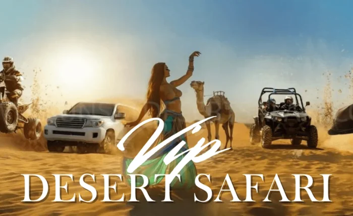 Vipdesertsafari