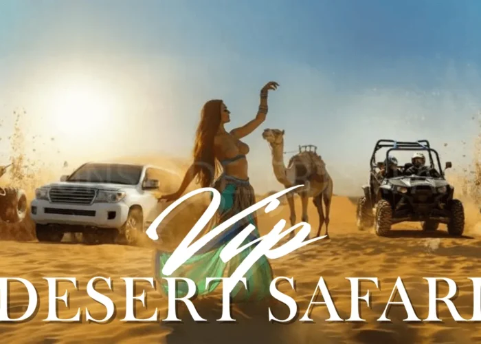 Vipdesertsafari