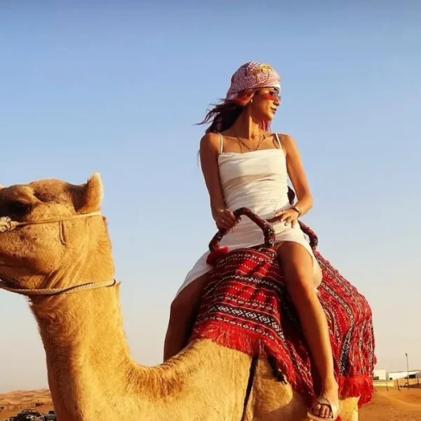 VIPDesertSafariCamelRide Vipdesertsafaricamelride