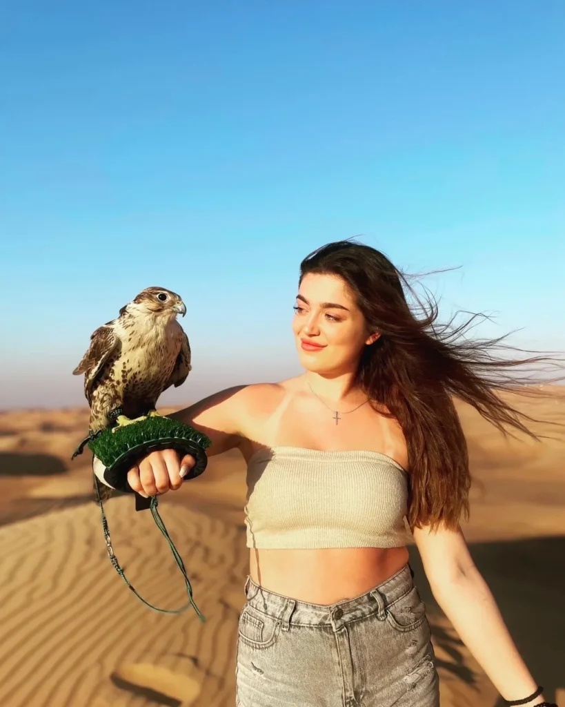 Vipdesertsafarifalconphotography