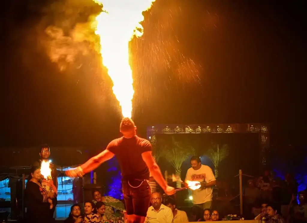 Eveningdesertsafarifireshow