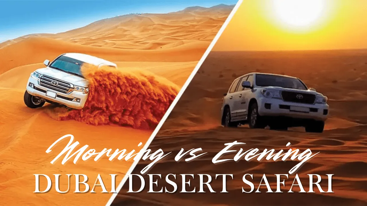 Morningvseveningdesertsafari