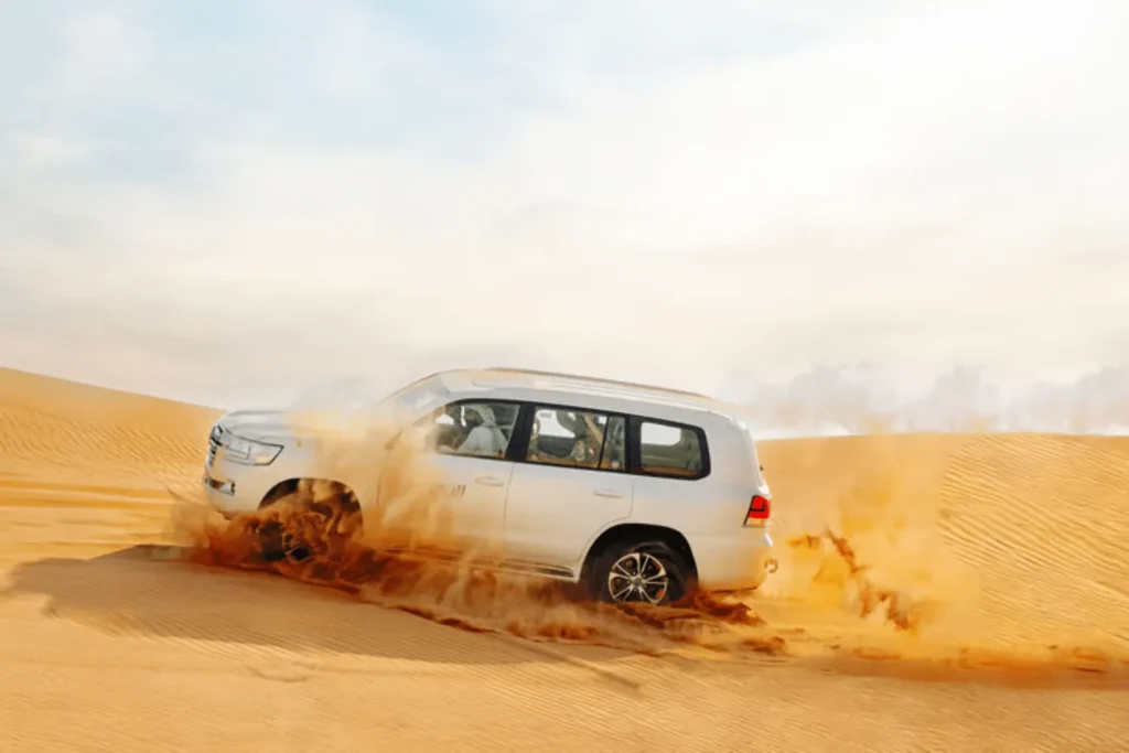 Morningdesertsafariroar