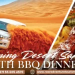 Eveningdesertsafariwithbbqdinnerroaradventureswl