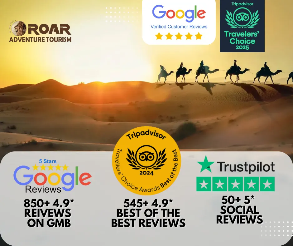 Roaradventuretourismreviews