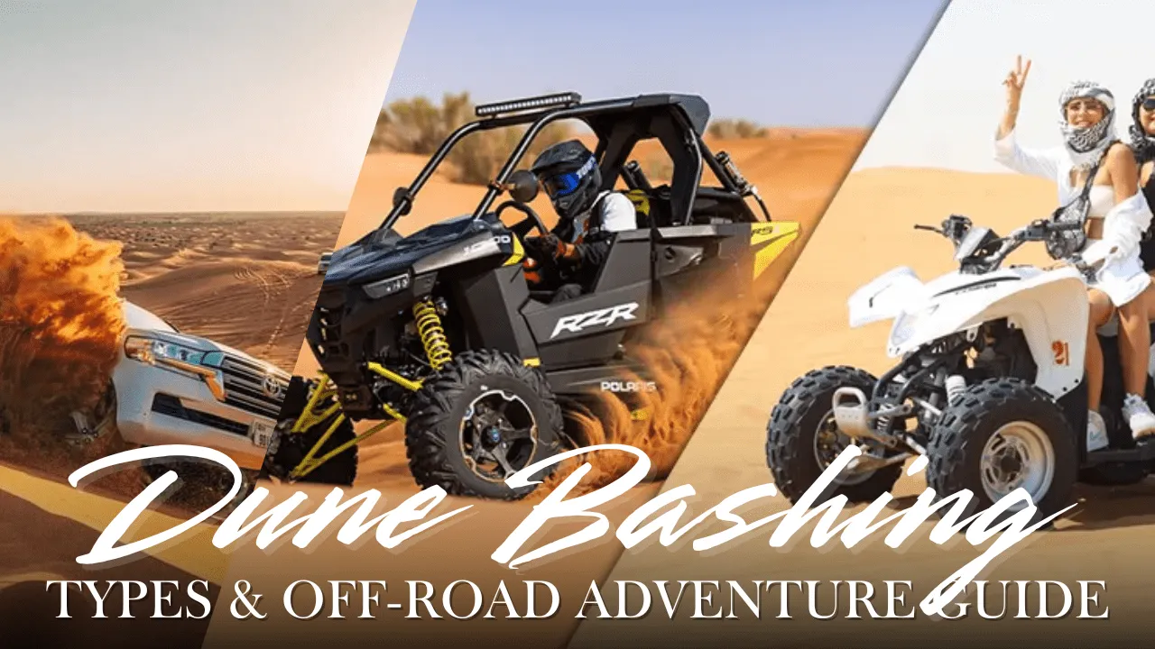 DuneBashingTypesnGuide