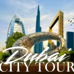 Dubaicitytour