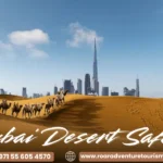 Dubaidesertsafaridubai