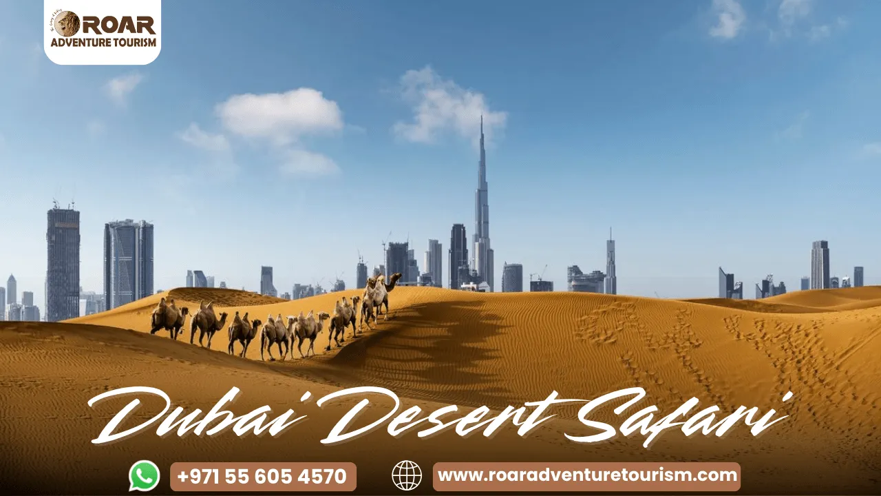 Dubaidesertsafaridubai