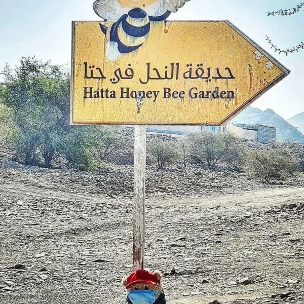 hattahoneybeegarden Hattahoneybeegarden