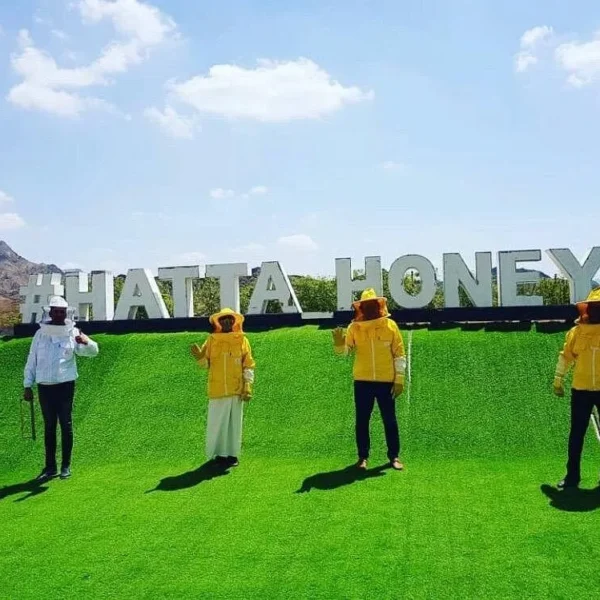 hattahoneybeegardenp Hattahoneybeegardenp