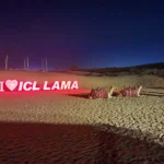 icllamacamelride Icllamacamelride