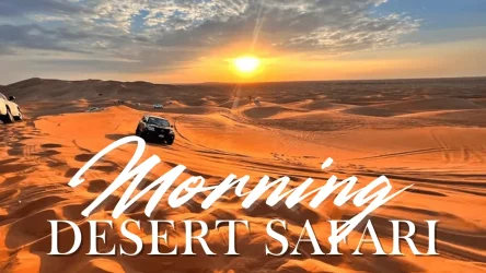 Morningdesertsafari