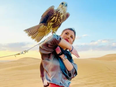 Vipdesertsafarifalconphotos